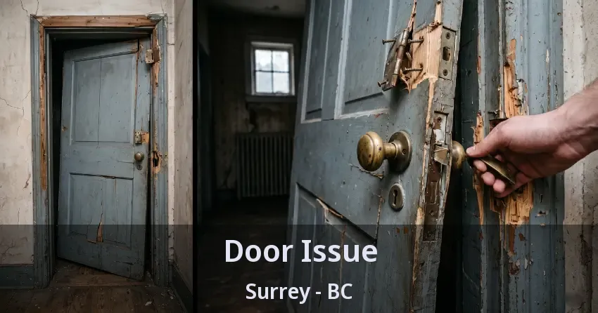 Door Issue Surrey - BC Door Issue Surrey - BC